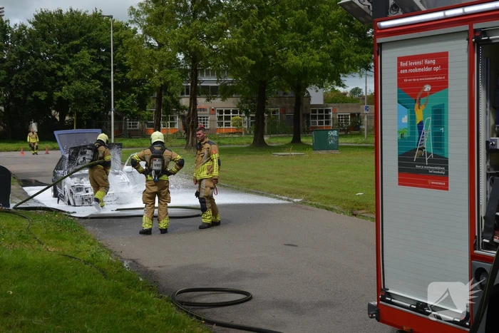 brand schierstins leeuwarden