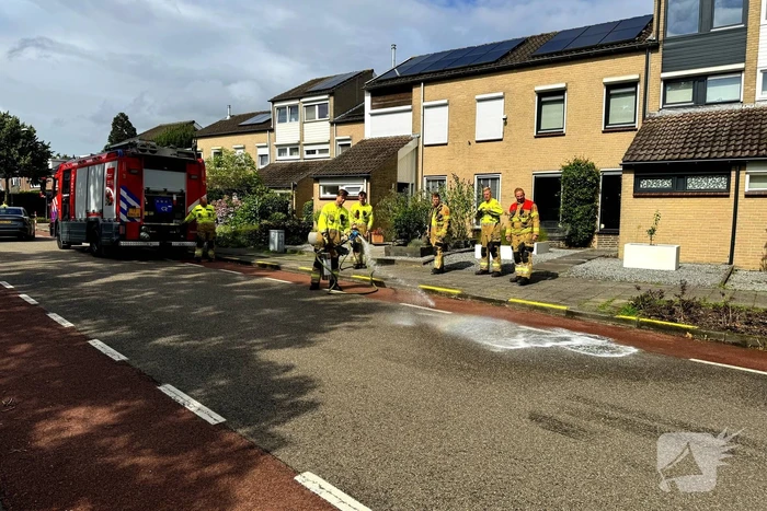 nieuws trompstraat veghel