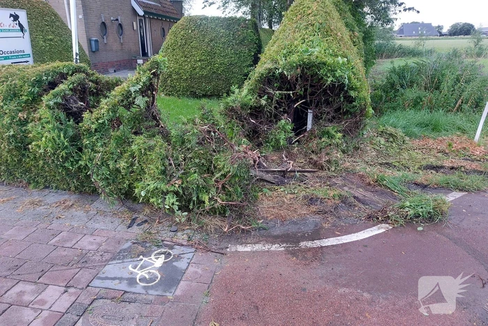 Bestuurder raakt macht over het stuur kwijt en belandt in bosjes