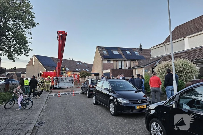 Buurt loopt uit voor vogel in schoorsteen