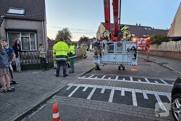 Buurt loopt uit voor vogel in schoorsteen