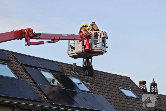 Buurt loopt uit voor vogel in schoorsteen