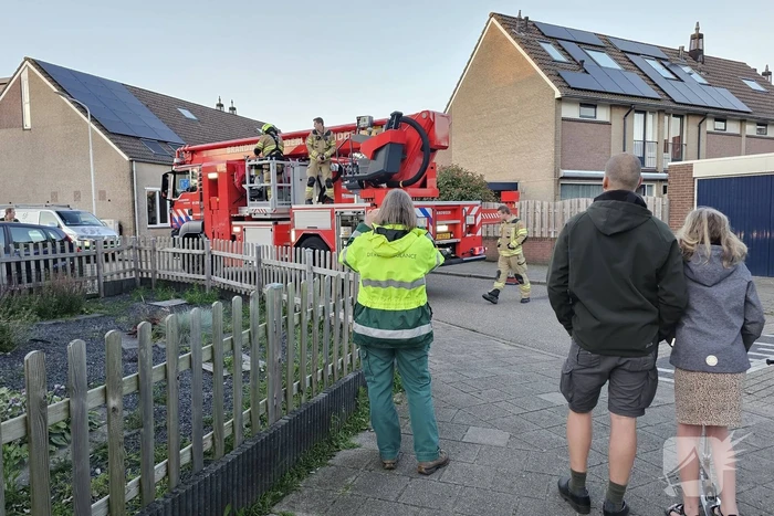Buurt loopt uit voor vogel in schoorsteen