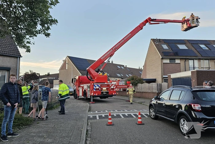 Buurt loopt uit voor vogel in schoorsteen