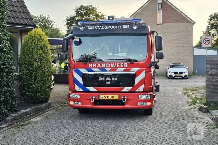 Buurt loopt uit voor vogel in schoorsteen