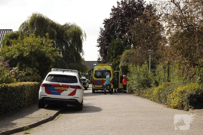 nieuws merellaan nieuwleusen