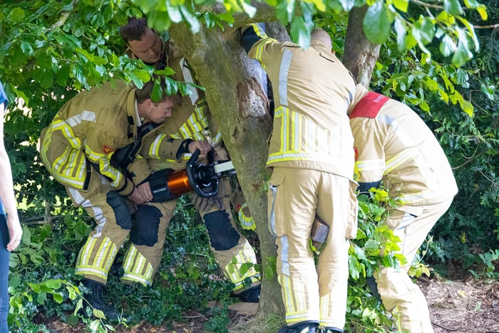 nieuws groen van prinstererlaan huizen