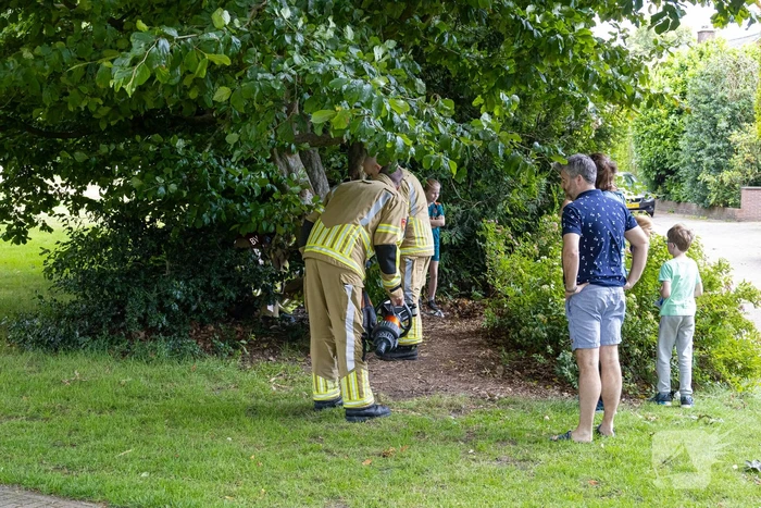 Brandweer bevrijdt vastzittend kind in boom