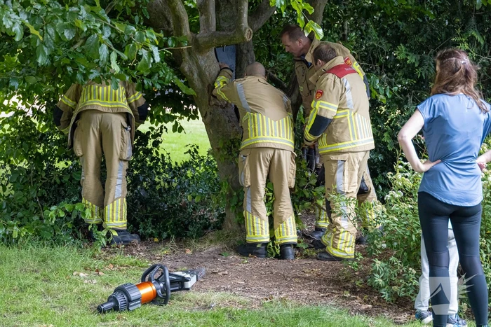 Brandweer bevrijdt vastzittend kind in boom