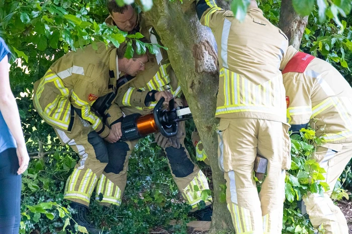 Brandweer bevrijdt vastzittend kind in boom