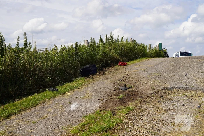 Bestuurder gewond na crash van dijk
