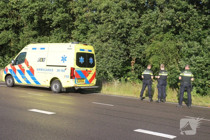 Bestuurder raakt macht over het stuur kwijt en belandt naast de weg