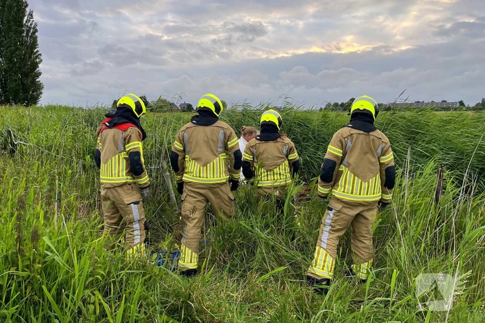 Brandweer ingezet voor paard te water