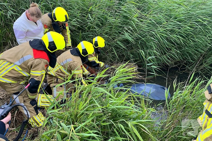 Brandweer ingezet voor paard te water