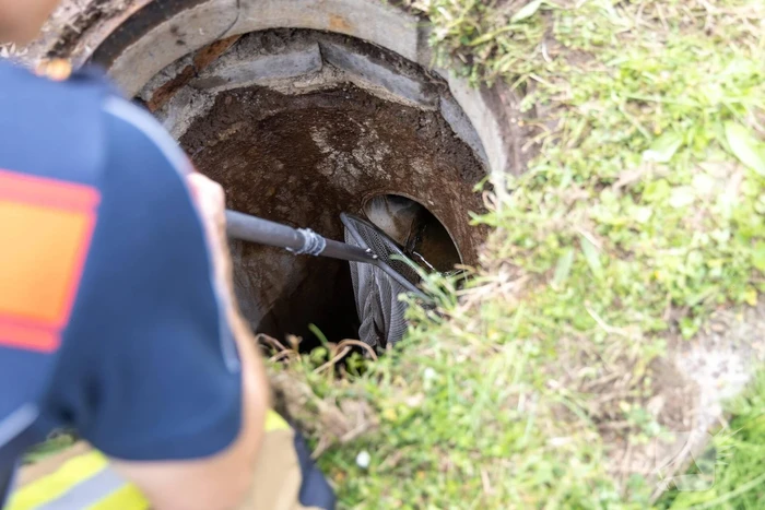 Twee waterhoentjes gevangen door de brandweer