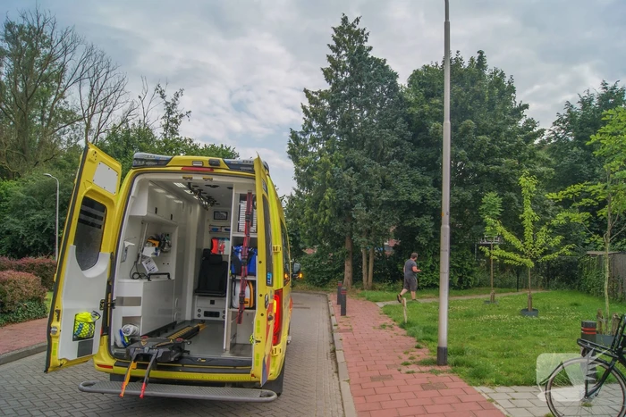 Steekvlam in keuken, buurman blust