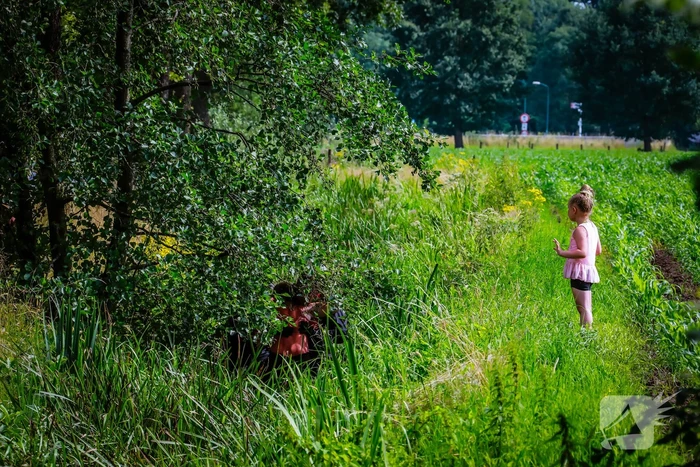 Hulpdiensten ingezet voor oudere-vrouw in sloot