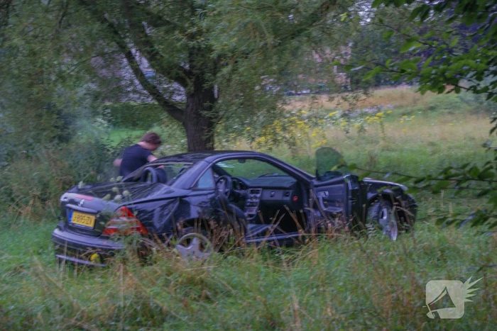 Automobilist verliest macht over stuur en klapt op boom