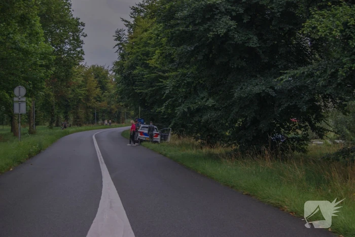 Automobilist verliest macht over stuur en klapt op boom