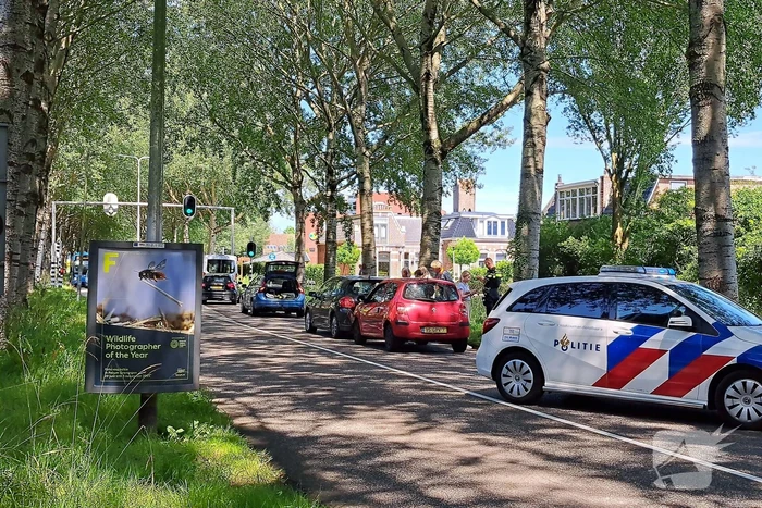 Drie voertuigen betrokken bij kop-staartbotsing