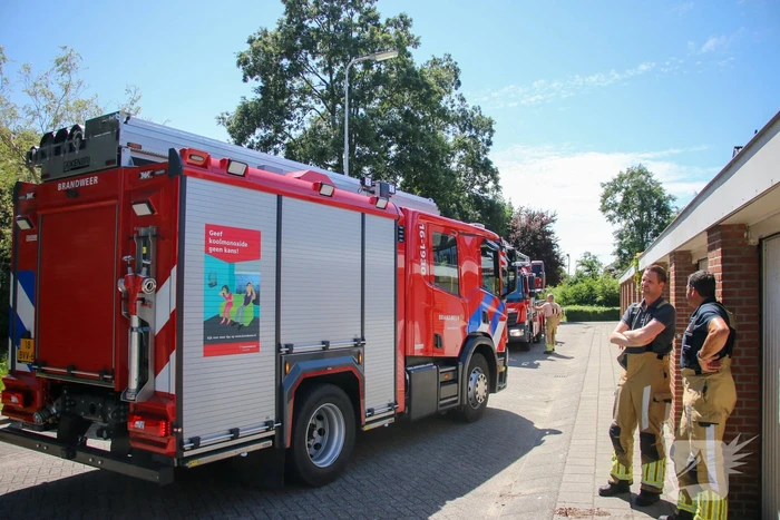 Brandweer redt poes uit boom