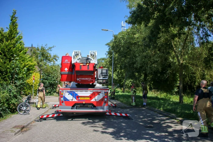 Brandweer redt poes uit boom