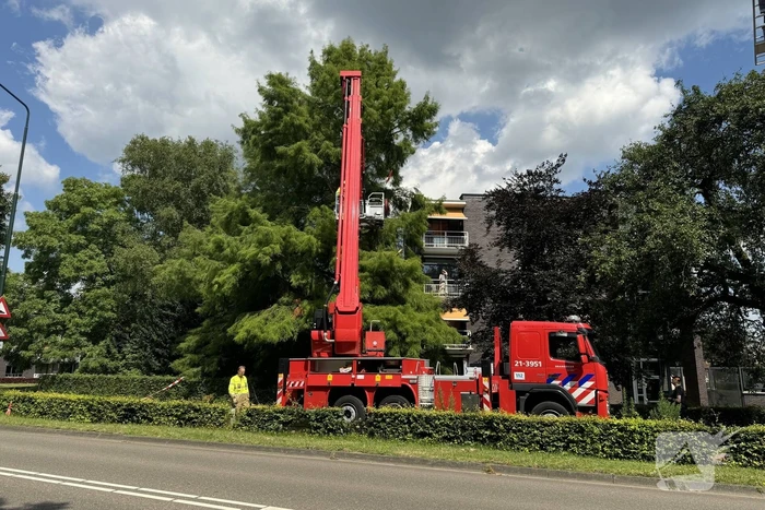 Brandweer sluit fietspad af vanwege gevaarlijk hangende takken