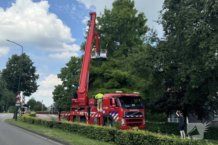 Brandweer sluit fietspad af vanwege gevaarlijk hangende takken
