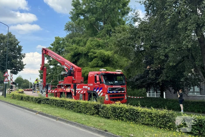 Brandweer sluit fietspad af vanwege gevaarlijk hangende takken