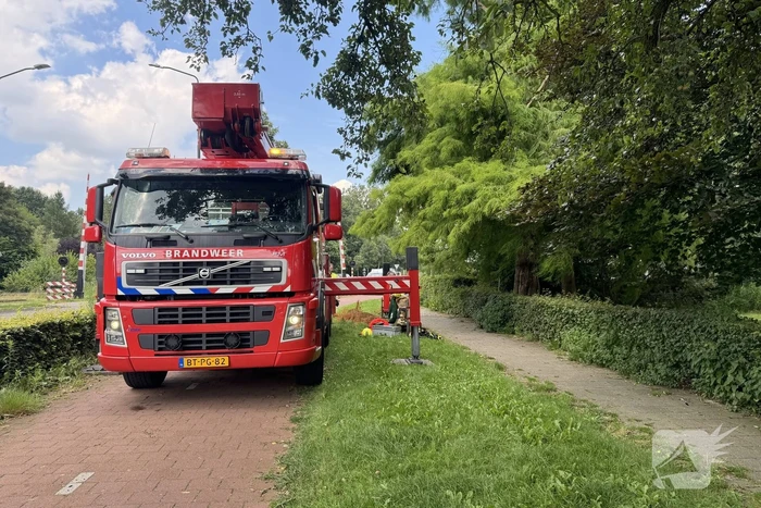 Brandweer sluit fietspad af vanwege gevaarlijk hangende takken