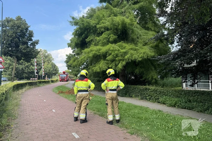 Brandweer sluit fietspad af vanwege gevaarlijk hangende takken