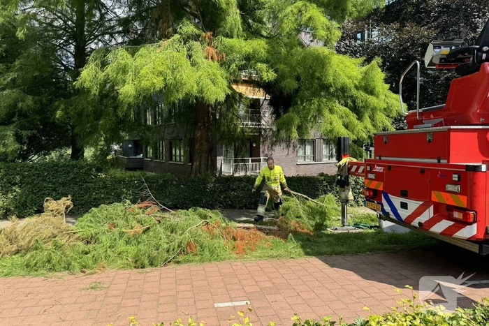 Brandweer sluit fietspad af vanwege gevaarlijk hangende takken