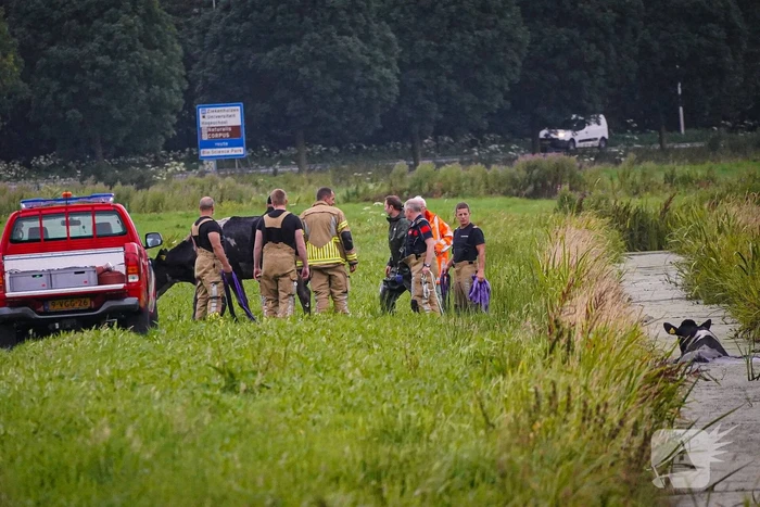 nieuws kruisherenweg leiden
