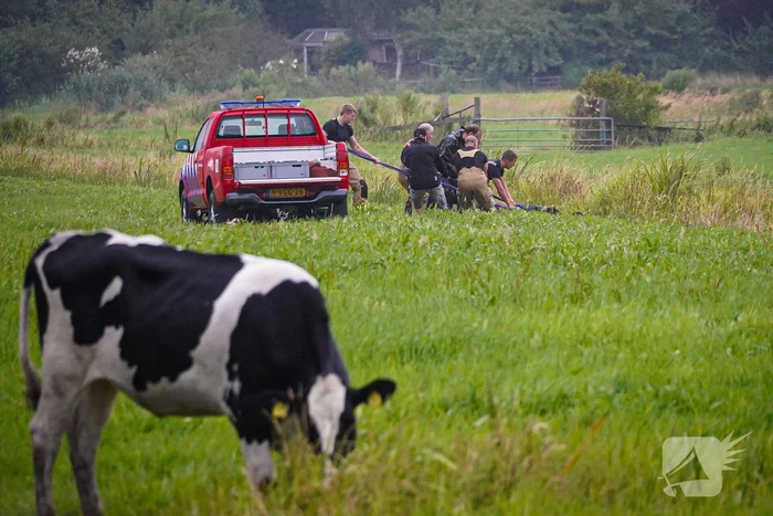 Twee koeien door brandweer uit sloot gered