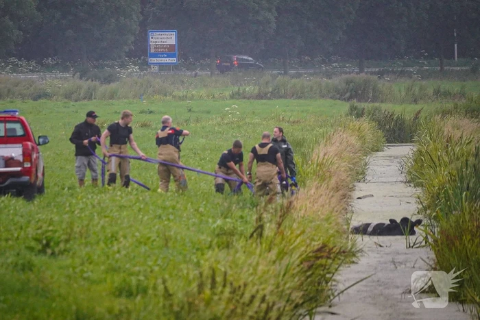 Twee koeien door brandweer uit sloot gered