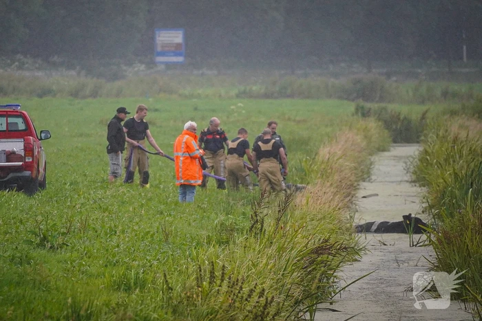 Twee koeien door brandweer uit sloot gered