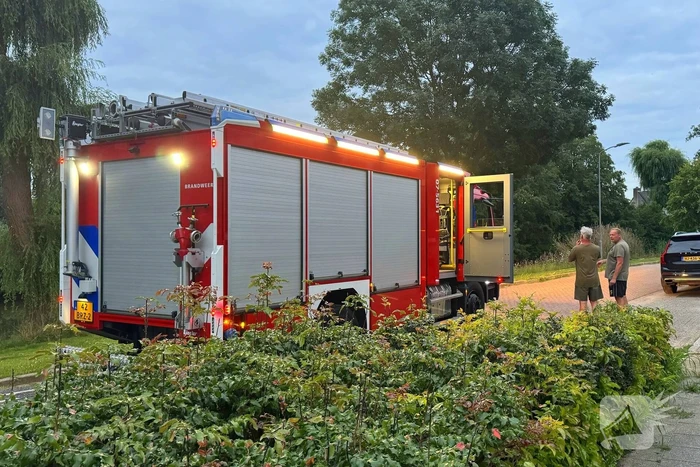 Vastzittende vogel door brandweer bevrijdt