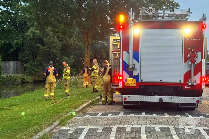 Vastzittende vogel door brandweer bevrijdt