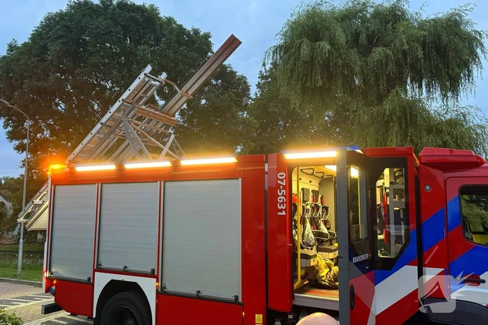 Vastzittende vogel door brandweer bevrijdt