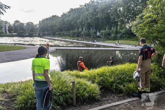 nieuws kromhoutpark tilburg
