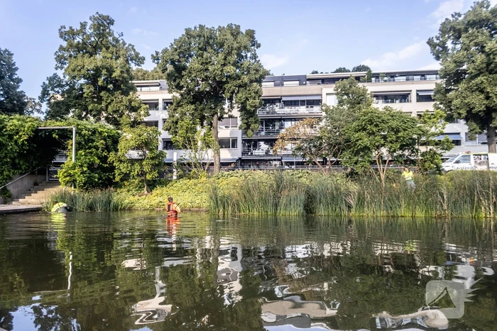 Verstrikte waterhoen laat zich niet vangen