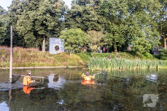 Verstrikte waterhoen laat zich niet vangen