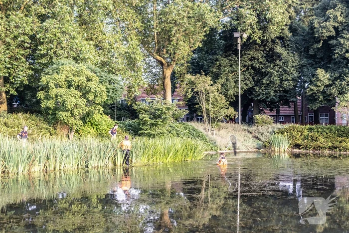 Verstrikte waterhoen laat zich niet vangen