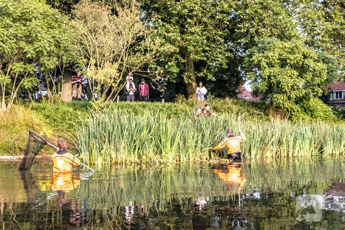 Verstrikte waterhoen laat zich niet vangen