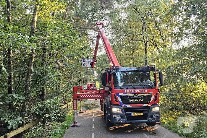 Boom belandt op drukke toegangsweg