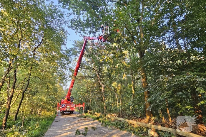 Boom belandt op drukke toegangsweg