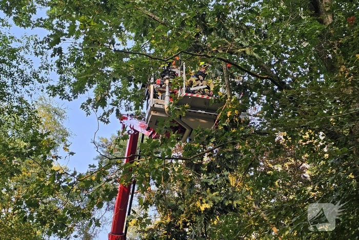 Boom belandt op drukke toegangsweg