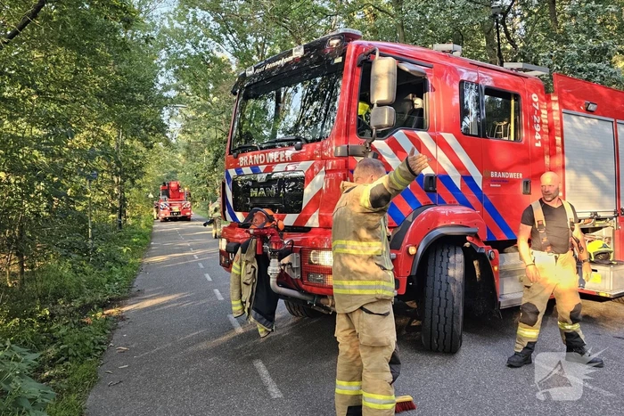 Boom belandt op drukke toegangsweg