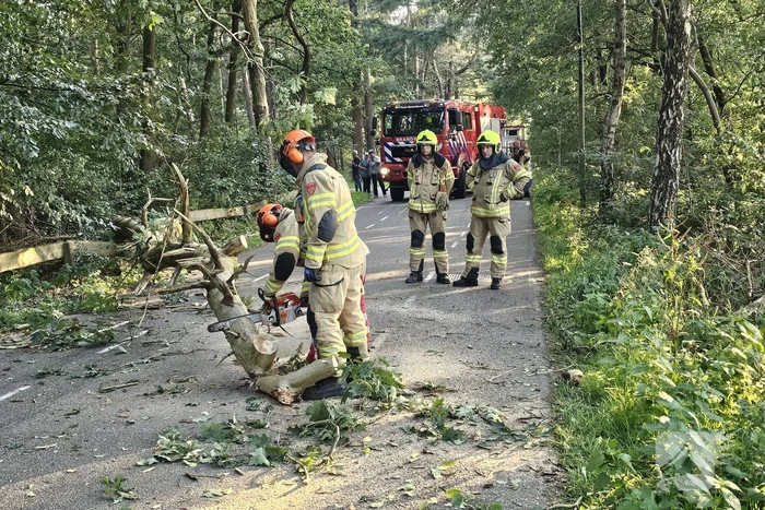 Boom belandt op drukke toegangsweg