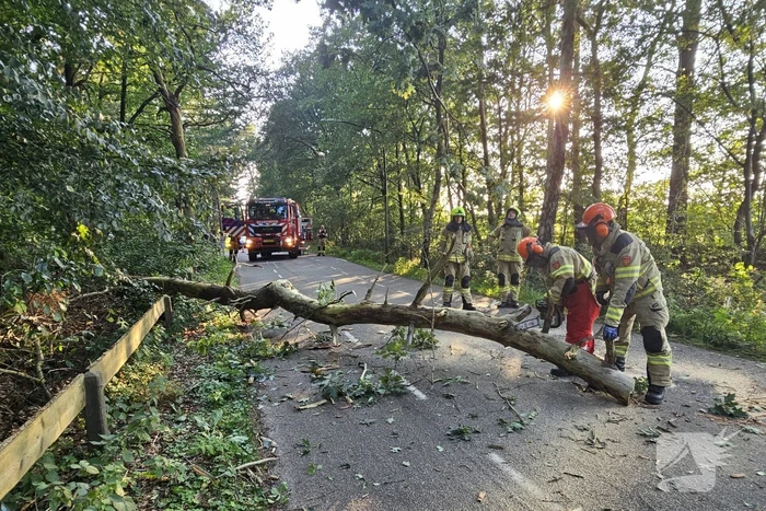 natuur dikkenbergweg bennekom